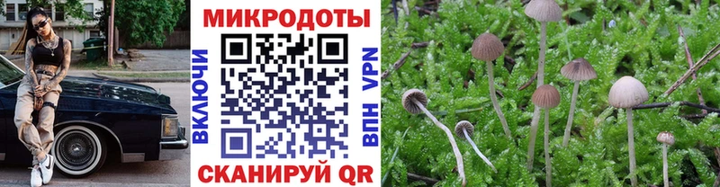 Галлюциногенные грибы мухоморы Бахчисарай